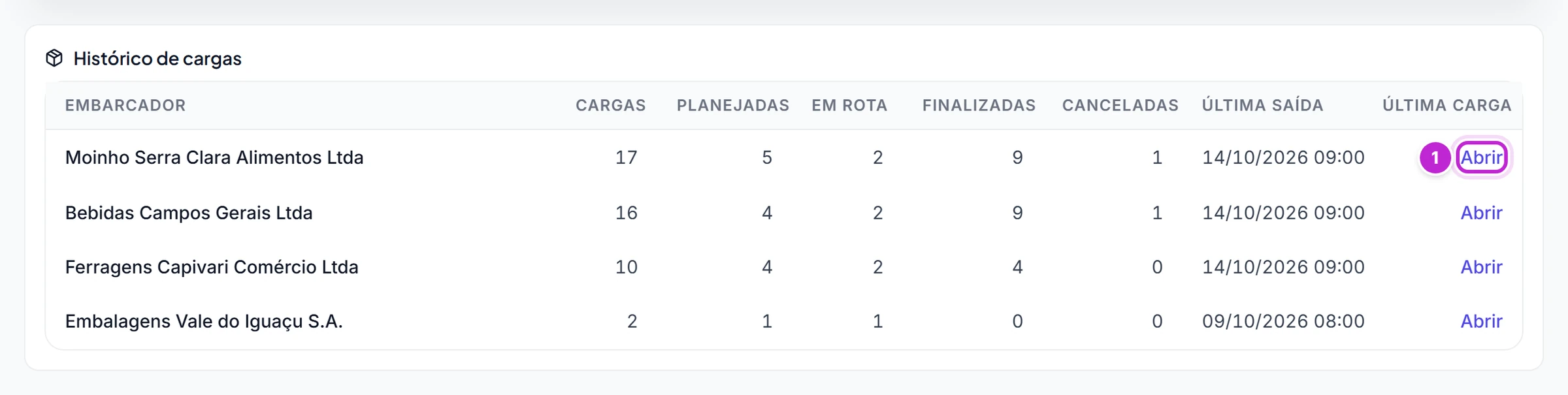 Seção Histórico de cargas com a quantidade de cargas por situação, a última saída e o link Abrir de cada embarcador